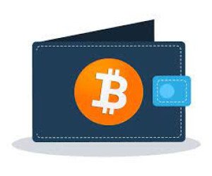 Bitcoin Wallet (BTC)